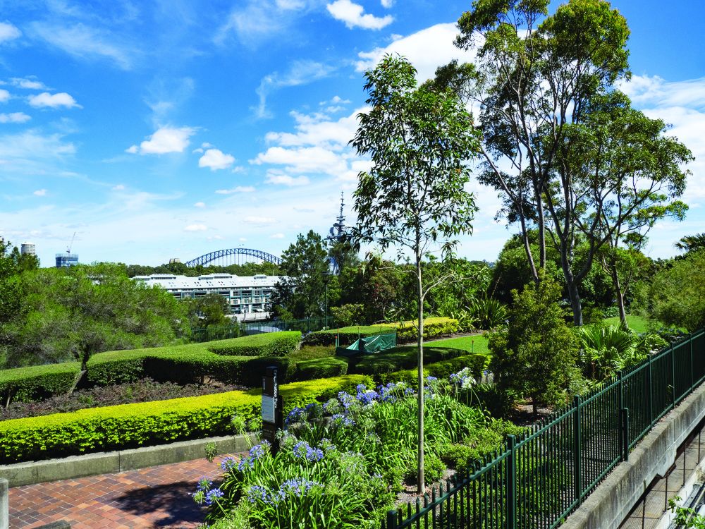 Embankment Park